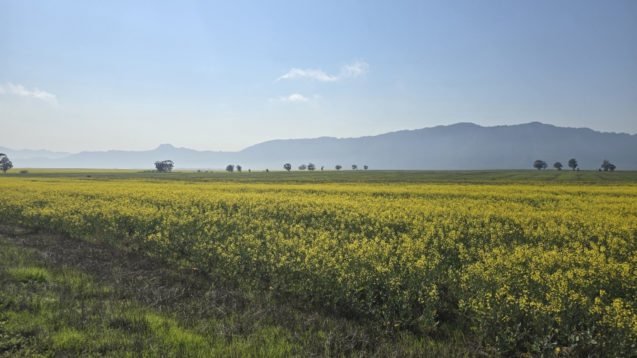 Commercial Property for Sale in Wellington Rural Western Cape